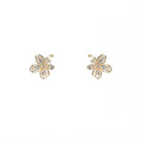 ANIA