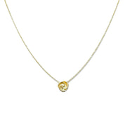 Collar Raiz Oro