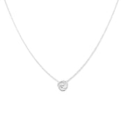 Collar Raiz Plata