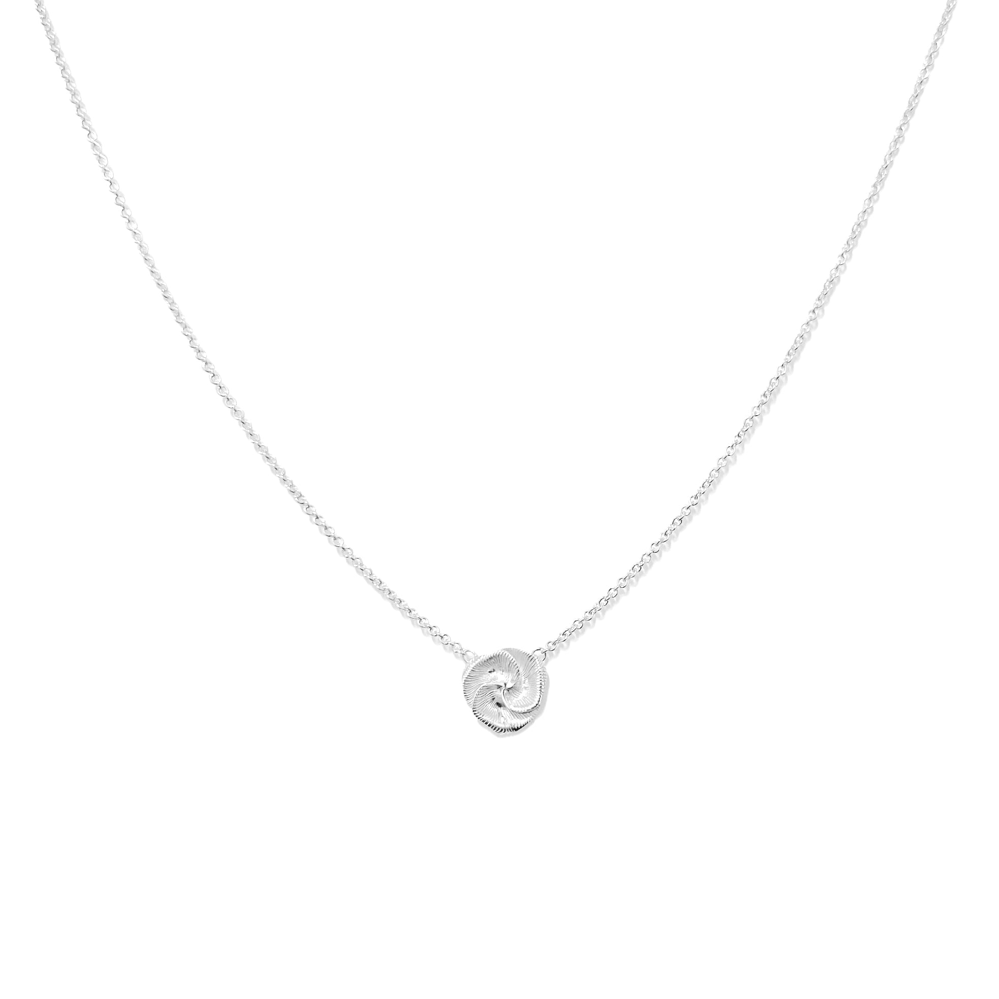 IMG_1151_plata.jpg