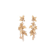 CASSIA