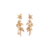 CASSIA